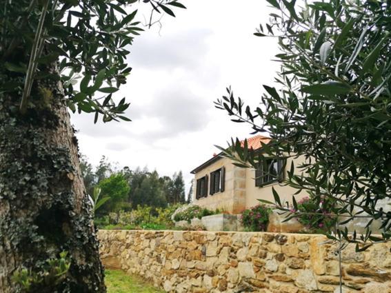 Casa Dos Matos Villa Ponte de Lima Exterior photo